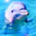 seaweedthewhale avatar