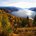 sebastian-bailey avatar