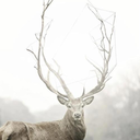 sebastian0moren0 avatar