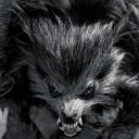 sebastianfowler avatar