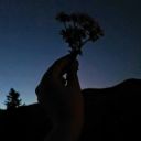 sebepsizsensizim avatar