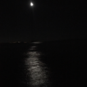 secluded-solitude avatar