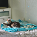 secondbrightspot avatar