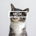 secondhand-rose avatar