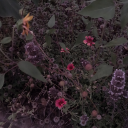 secondhandskeleton avatar