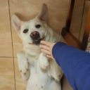 secondkisses-xo avatar