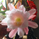 secondslikeours avatar