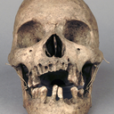 secondthoughtsoficarus avatar