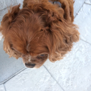 secret-names12 avatar