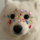 secret-third-option avatar