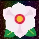 secretaccshhhh avatar