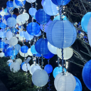 secretbreadpenguin avatar