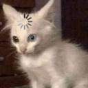 secretcouchpotato avatar