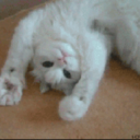 secretdisposition-blog avatar