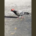 secretempaththingpizza avatar