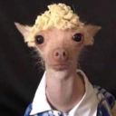 secretly-chaotic avatar