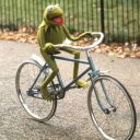 secretly-myself avatar