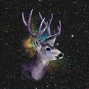 secretlyasalmon avatar