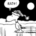 secretlyasummers avatar