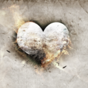 secretlyawallflower avatar