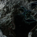 secretlyawyvern avatar