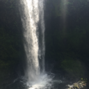 secretlyextraordinary avatar