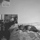 secretlynecessary avatar