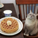 secretlypureatheart avatar