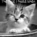 secretlyshelby avatar