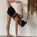 secretlytenaciousharmony avatar