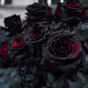 secretlythegodofdesire avatar