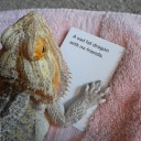 secretlytrashman avatar