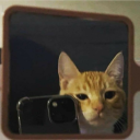 secretobuchmann avatar