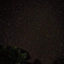 secretoperatorcreatorpalace avatar