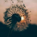 secretos-posts avatar