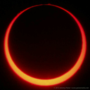 secretososcuros24 avatar