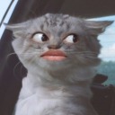 secrets-ill-take-to-my-grave avatar