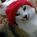 secretsofsoul avatar