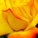 secretsquirt4u avatar