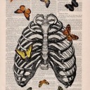 secrettacomakerbakery avatar