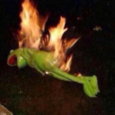 secretthegriffin avatar