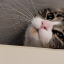 secretthirdfloor avatar