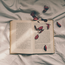 secretwallfl0wer avatar