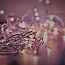 secretwhisperstragedy avatar