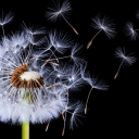 secretwishesandcravings2 avatar