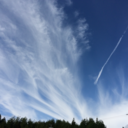 secretzone2025 avatar