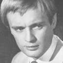 section2number2 avatar