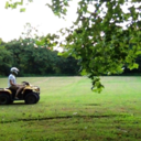 sectum-and-sempra avatar