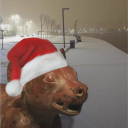 secundus-cinaedus avatar