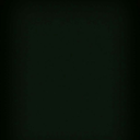 sedanurbilenn avatar